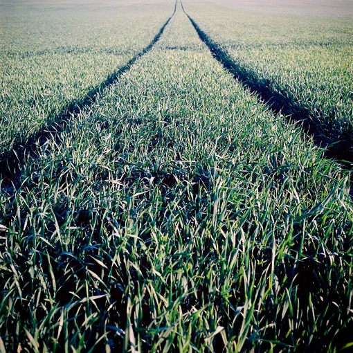 Ailleurs