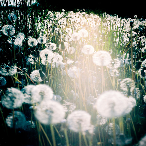 Ailleurs